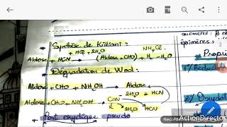 biochimie  les glucides part 1 [upl. by Rodge223]