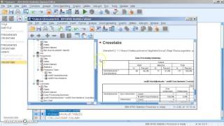 Somers d met SPSS [upl. by Babcock]