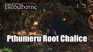 Bloodborne Pthumeru Root Chalice All Layer l Chalice Dungeon [upl. by Llacam]