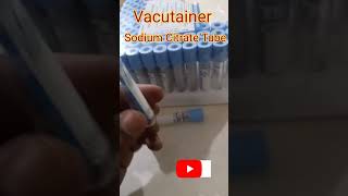 vacutainer for ptinr test  Sodium Citrate Tube shortvideo information easystudy practical [upl. by Ahsehat816]