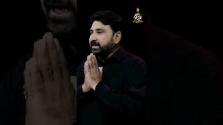 Ali Ki Beti  Bibi Zainab sa Syed Raza Abbas Shah Muharram Nohay [upl. by Neirda]