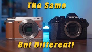 Olympus EM10 mark 2 vs Lumix GX8085  Never Trust The Spec Sheet [upl. by Fernand22]