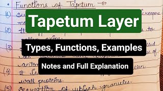 Tapetum Layer  Types  Functions  Examples  Anther Layers notes tapetum anther angiosperms [upl. by Hemetaf]