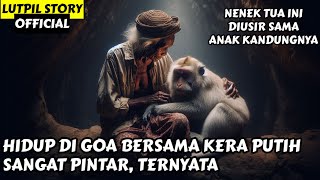 NENEK TUA INI HIDUP DI GOA BERSAMA KERA PINTAR [upl. by Natsyrt444]