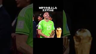 「W杯で大炎上したエミマル」の嘘みたいな雑学 サッカー [upl. by Arukas980]