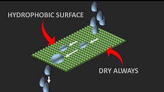 Science behind Hydrophobic technologies  The lotus effect [upl. by Maram]