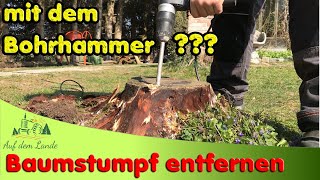 Baumstumpf entfernen mit Bohrhammer 😲 Geht das ❓ 🤔 [upl. by Areis]