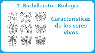 Características de los seres vivos  Biología  1º Bachillerato [upl. by Kinemod]