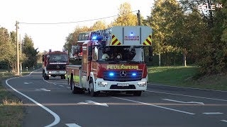 DLK 2312 und TLF 2450 FF Eilenburg [upl. by Treblig117]