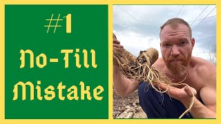 Watch This BEFORE Starting A NoTill Garden [upl. by Anitsirhc]