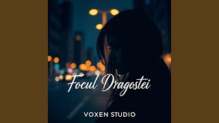 Focul Dragostei Official Audio [upl. by Artenehs801]