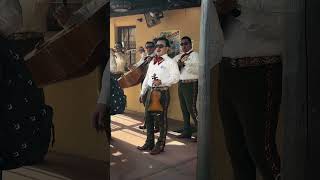 Is it your Birthday today Happy Birthday Mariachi Cobre singers at EPCOTshortsdisneymexico [upl. by Ramas825]