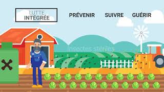 Agrobonsens  Lutte Intégrée [upl. by Fair472]