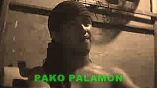 TAONG PALARA ENDINGpako palamon ROBIN PADILLA [upl. by Aylatan]