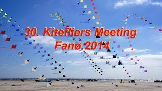 30 International Kitefliers Meeting Fanø 2014 [upl. by Kobi]