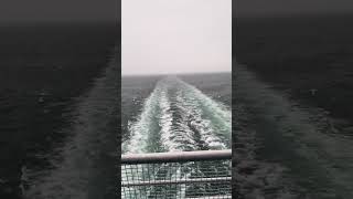 ferry from Digby to Saint Johns in NB rain ship triumphtiger1200 bmwgs1250 tracer900gt sv650 [upl. by Eckart]