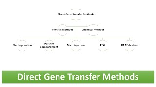 Direct Gene Transfer Methods Physical amp Chemical Methods  Advantages and Limitations [upl. by Anirehs]