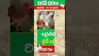 చికెన్ ధర ఆదివారం 01102023  Price of chicken Sunday 01102023  Today Chicken Price In Hyderabad [upl. by Atalya]