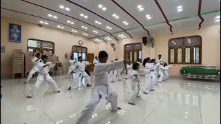 Karate yellow belt test [upl. by Nhguavad]