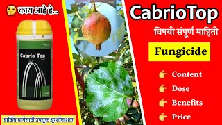 CabrioTop Fungicide  CabrioTop बुरशीनाशकाचे फायदे  फवारणी प्रमाण  Content  Price  BASF [upl. by Neened]