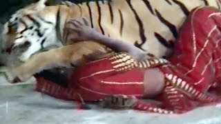 Naresh Kanodia Saves Snehlata from Tiger Hiran Ne Kanthe  Gujarati Action Scene 512 [upl. by Fugere]