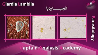 Giardia lamblia الجيارديا بالتفصيل [upl. by Lered]