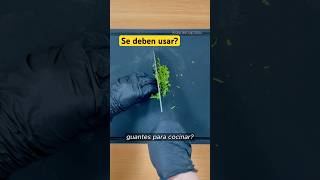 ¿Se deben usar guantes para cocinar cienciaycocina shorts [upl. by Schwitzer]