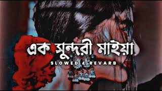 Ek Sundori Maiya Slowed amp Reverb  Jishan Khan Shuvo  Tamim Hasan [upl. by Lertram]