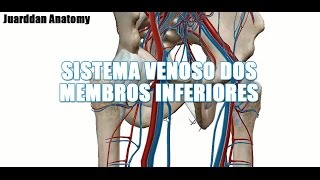 Veias do Membro Inferior [upl. by Beatriz]