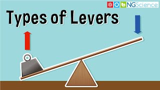 Types of Levers [upl. by Bayless]