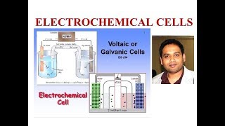 E1 Electrochemical Cell [upl. by Ecinuahs736]