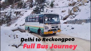 Bus ride to last Indian village  HRTC bus to CHITKUL  DELHI to Reckongpeo Bus [upl. by Ynehpets]