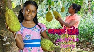 පොලොස් ඇබුල Traditional baby jackfruit curry the most delicious food recipe you can eat a day later [upl. by Cyndy]