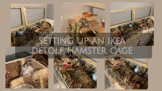 Hamster cage setup  Ikea detolf [upl. by Marianne]