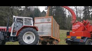 Hackgut Erzeugung mit STEYR 8085  Eschelböck Biber 78 und Massey Ferguson [upl. by Alayne]