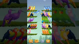 cute birds short cutebirds bhojpurisong shortviral trendingshorts youtubeshorts ytshorts bird [upl. by Lamahj]