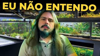 🔴NÃO ENTENDO Mr Betta [upl. by Schrader]