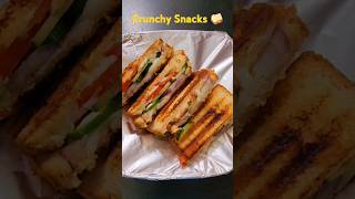 😋Crunchy Veg Sandwich  Tasty Brunch  Indian Street Food  Easy cooking  Atrangi Ahaar  Veg Diet [upl. by Aled558]