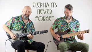 Haken Elephants Never Forget Guitar playthrough [upl. by Omer446]