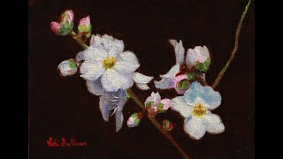 Painting Almond Blossoms demonstration [upl. by Power]