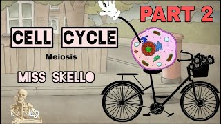 Meiosis Part 2  Meiosis 1 and 2  Significance of Meiosis [upl. by Lubba]