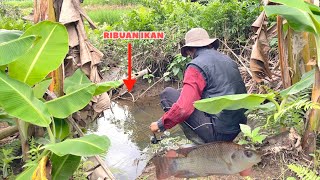 Mancing di parit perkebunan pisang ikannya rakusrakus🥰 indo1team [upl. by Yendic]