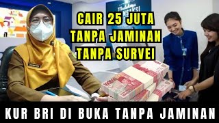 Cair 25 Juta KUR BRI 2024 Online  Pinjaman KUR 2024 di Bank BRI Tanpa Jaminan [upl. by Encratis]