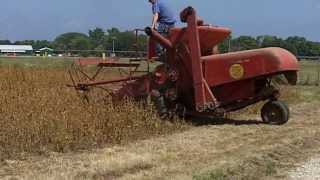 Antique Self Propelled Combines Harvesting Soybeans [upl. by Sirej293]