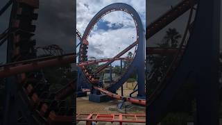 Slow Motion Scorpion Roller Coaster at Busch Gardens Tampa [upl. by Ashmead60]