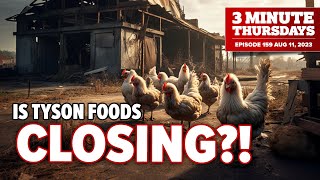 Is Tyson Chicken CLOSING  James Aspey Is Doing WHAT [upl. by Oremodlab]