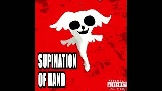 TOTAL BODY  SUPINATION OF HAND full album 2024 [upl. by Hook]