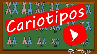 Tipos de CROMOSOMAS👨🏽‍🏫🧬🔬🧫 CARIOTIPO GENÉTICO  Te lo explico RÁPIDO y FÁCIL [upl. by Audy]