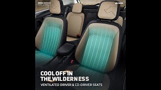 Tata Nexon Kaziranga Edition  Leatherette Ventilated Seats [upl. by Disini]