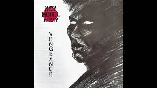 New Model Army  Vengeance full album [upl. by Brittni434]